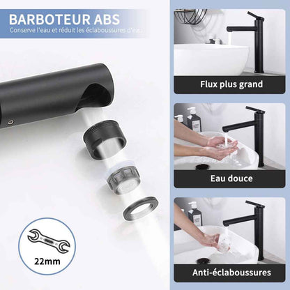Robinet de Salle de Bain Noir Mat en Acier Inoxydable Bec Rotatif 360°
