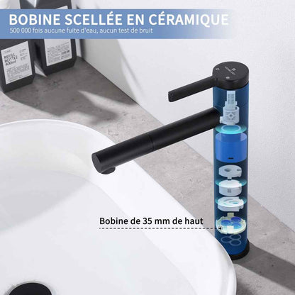 Robinet de Salle de Bain Noir Mat en Acier Inoxydable Bec Rotatif 360°