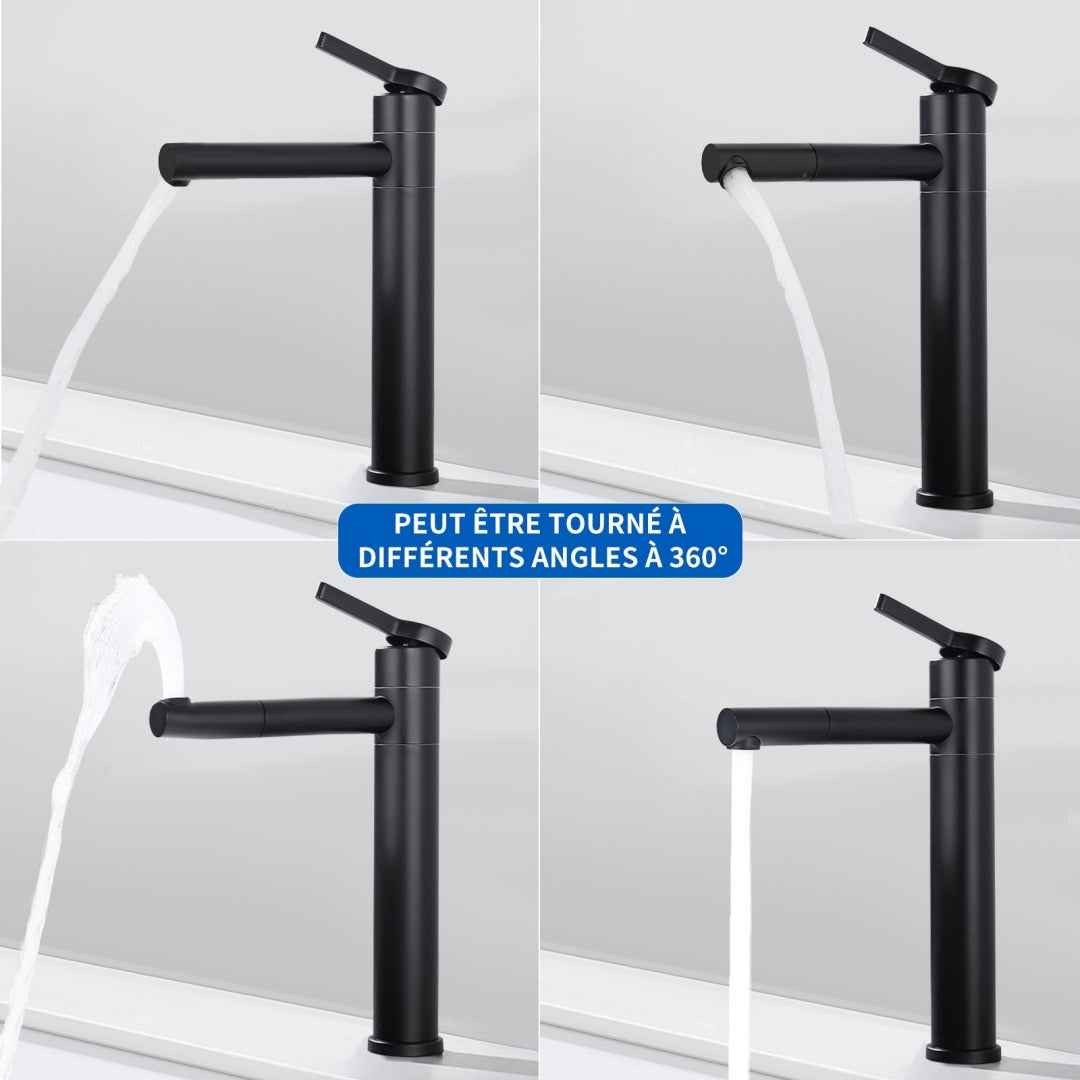 Robinet de Salle de Bain Noir Mat en Acier Inoxydable Bec Rotatif 360°