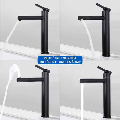 Robinet de Salle de Bain Noir Mat en Acier Inoxydable Bec Rotatif 360°
