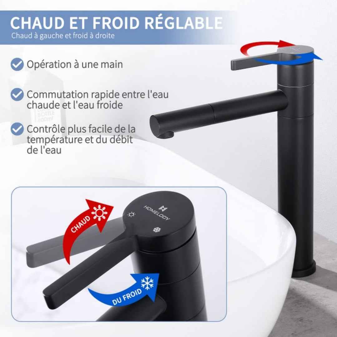 Robinet de Salle de Bain Noir Mat en Acier Inoxydable Bec Rotatif 360°