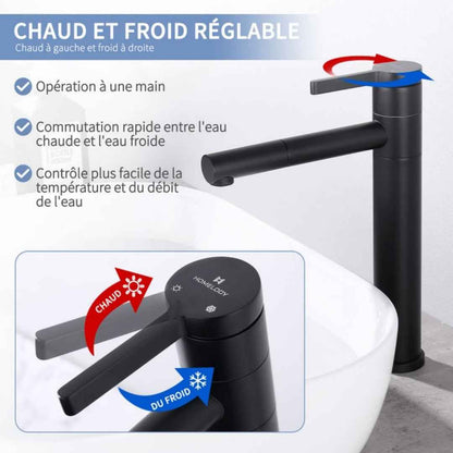 Robinet de Salle de Bain Noir Mat en Acier Inoxydable Bec Rotatif 360°