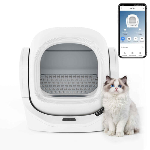 Litière Auto-Nettoyante pour Chat MF : Libérez-vous du Nettoyage Quotidien !