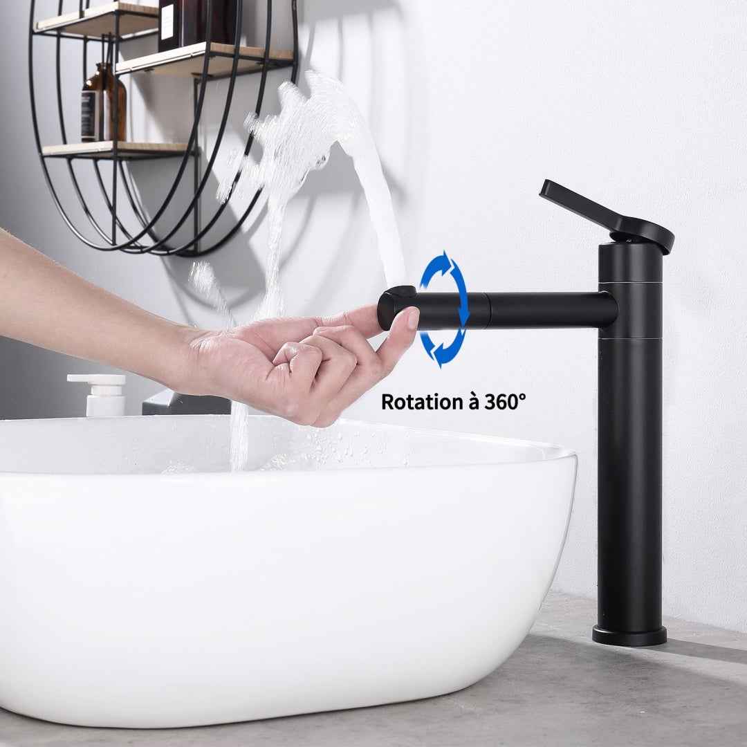 Robinet de Salle de Bain Noir Mat en Acier Inoxydable Bec Rotatif 360°