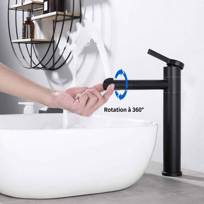Robinet de Salle de Bain Noir Mat en Acier Inoxydable Bec Rotatif 360°