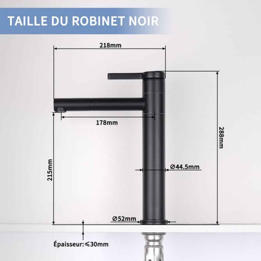 Robinet de Salle de Bain Noir Mat en Acier Inoxydable Bec Rotatif 360°