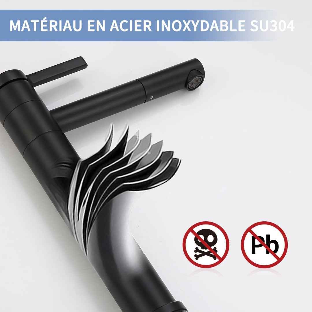 Robinet de Salle de Bain Noir Mat en Acier Inoxydable Bec Rotatif 360°