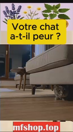 Spray Apaisant pour Animaux : Calmez l'Anxiété de Votre Compagnon à Quatre Pattes