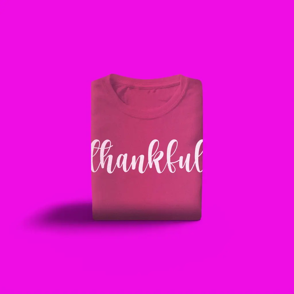 Flamingo Tshirt